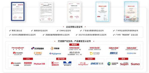 持續(xù)加強國產信創(chuàng)建設 思邁特軟件與SelectDB完成兼容互認證，夯實基礎軟件服務